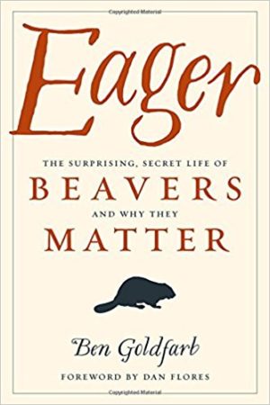 eager the surprising life of beavers
