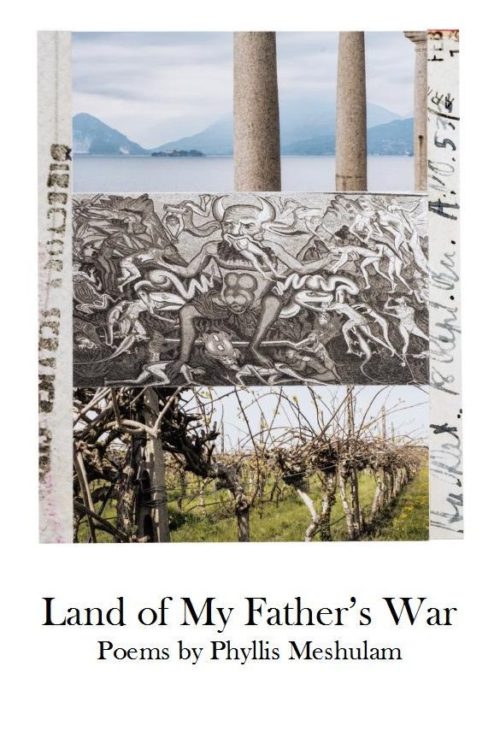 Land of My Father's War