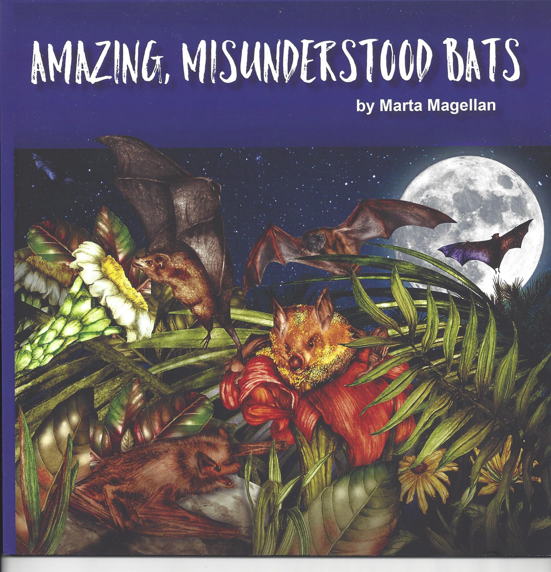 Amazing, Misunderstood Bats