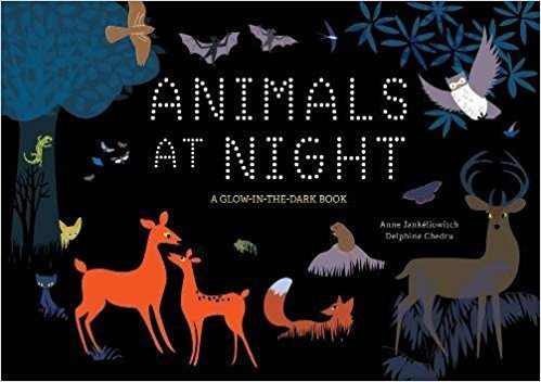 Animals At Night: A Glow-In-The-Dark Book