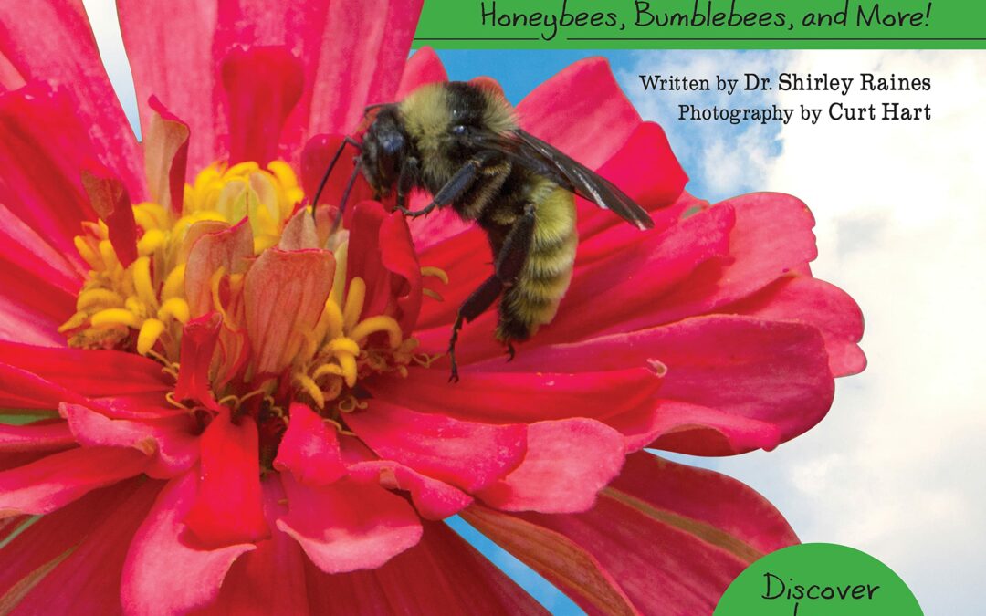 Bees: Honeybees, Bumblebees, and More! (My Wonderful World)