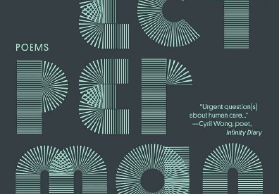 Object Permanence: Poems