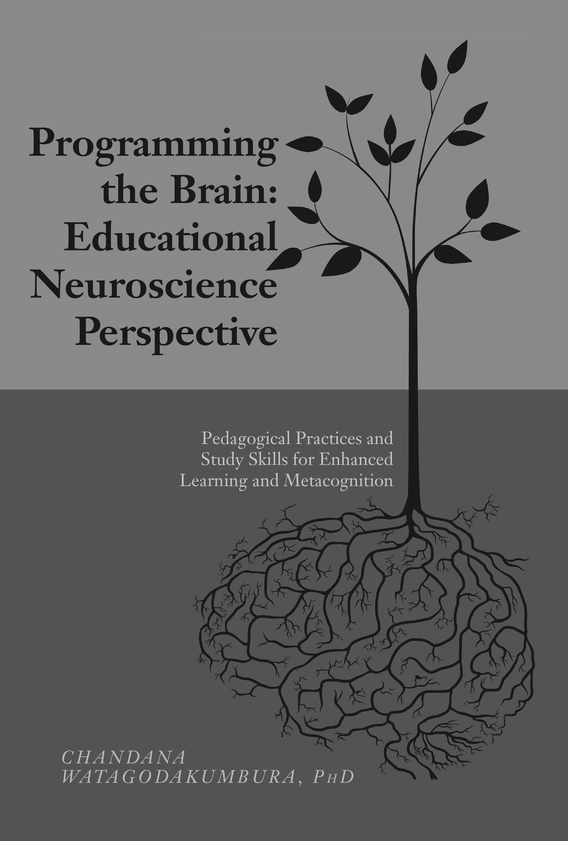 Programming the Brain: Educational Neuroscience Perspective – Pedagogical Practices and Study Skills for Enhanced Learning and Metacognition