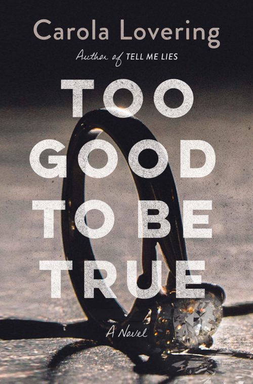 Too Good to Be True: A Novel