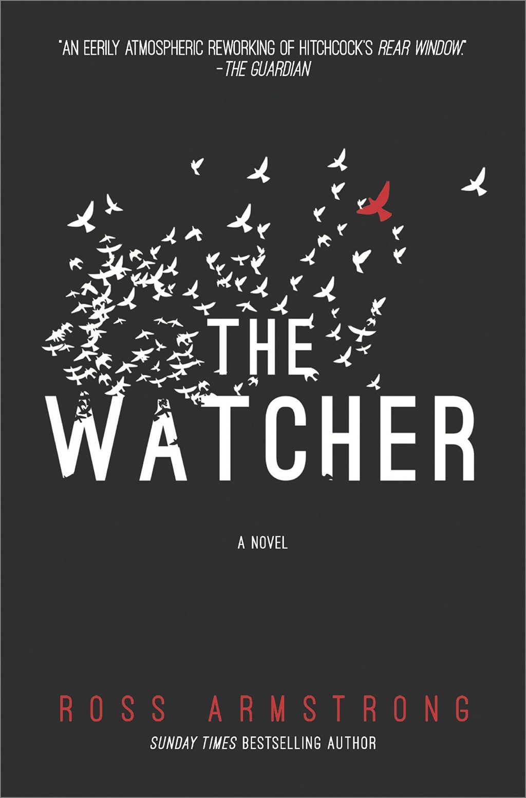 The Watcher San Francisco Book Review